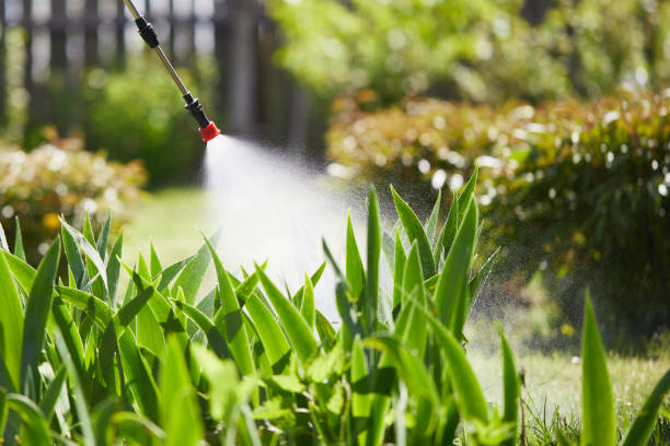 Tamper-Resistant Bait Stations for Rodents in Robinson