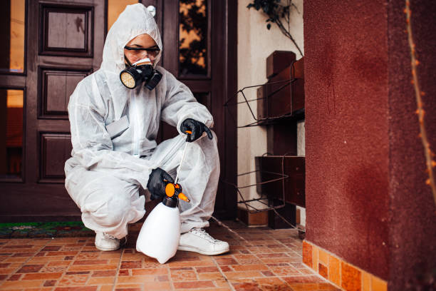 Attic and Crawl Space Rodent Treatment in Robinson